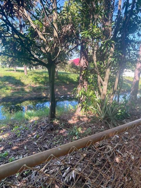 2086 SW Savage Boulevard, Port St. Lucie FL - photo 11 of 29