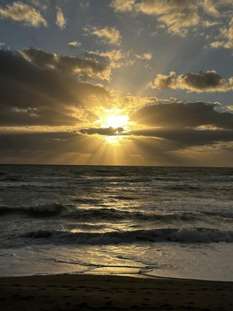 275 Palm Avenue #A404, Jupiter FL - photo 19 of 71