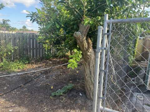 4578 SE Salvatori, Stuart FL - photo 7 of 18