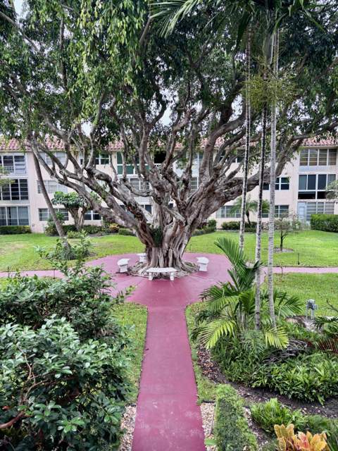 400 NE 20th Street #B208, Boca Raton FL - photo 9 of 25