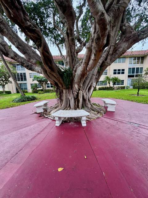 400 NE 20th Street #B208, Boca Raton FL - photo 18 of 25
