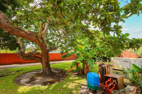 525 51st Street, West Palm Beach FL - photo 7 of 41