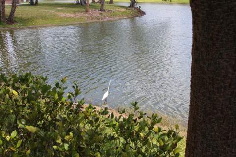 6 Kingswood A, West Palm Beach FL - photo 24 of 27