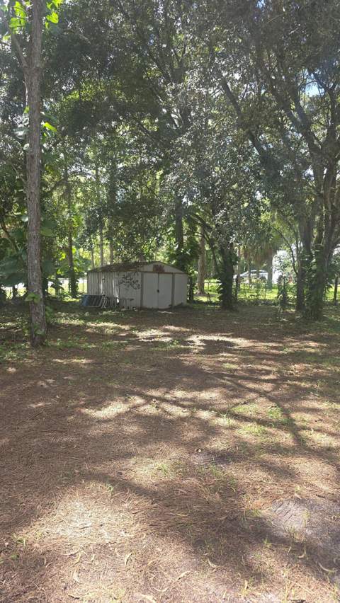 15847 82nd Lane, Loxahatchee FL - photo 15 of 18