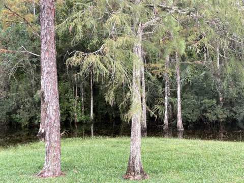 5637 Cougars Prowl, Wellington FL - photo 12 of 17