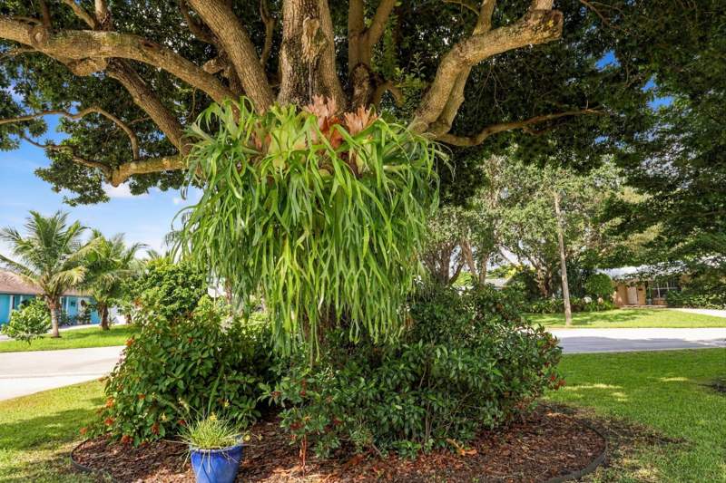 3 bedroom Single Family Residence at 9714 Honeysuckle Avenue, Palm Beach Gardens 6, Palm Beach Gardens — photo 4