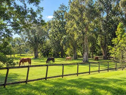 18900 SW 59th Street, Southwest Ranches FL - photo 6 of 6