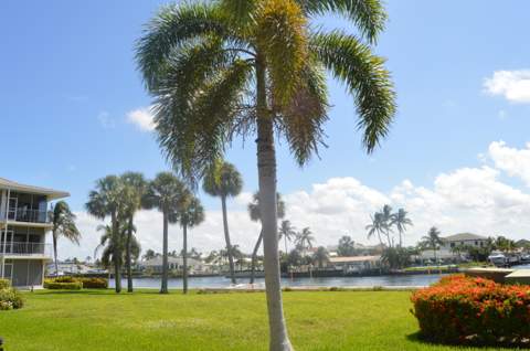 745 SE 19th Avenue #120, Deerfield Beach FL - photo 6 of 22