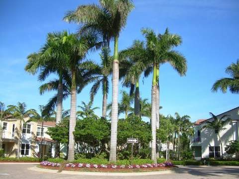 5011 NW 15th Terrace, Boca Raton FL - photo 14 of 16