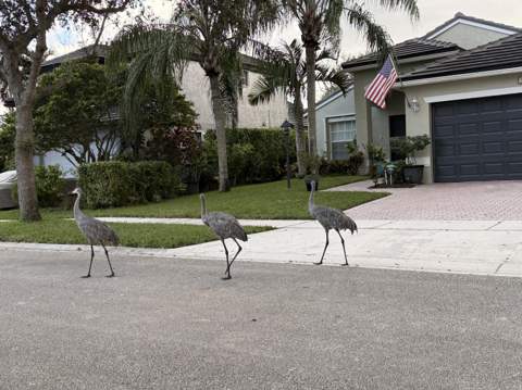 1384 NW 144th Avenue, Pembroke Pines FL - photo 7 of 7