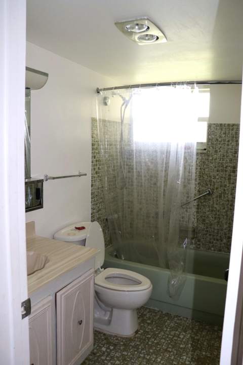 715 Lori Drive #Apt 315, Palm Springs FL - photo 6 of 9