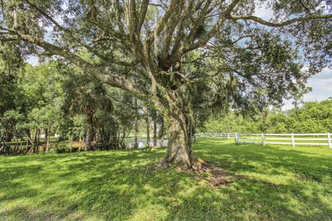 17058 Alexander Run, Jupiter FL - photo 15 of 41