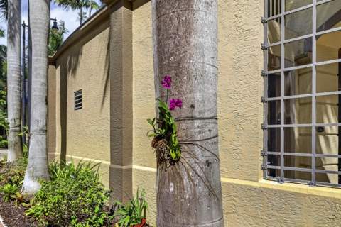 2631 NE 14th Avenue #216, Wilton Manors FL - photo 24 of 42