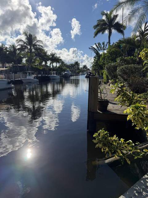 900 Citrus Isle, Fort Lauderdale FL - photo 6 of 20