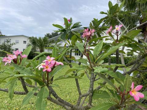 162 Camden G, West Palm Beach FL - photo 7 of 7