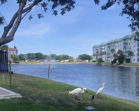 2271 NW 47th Terrace #115, Lauderhill FL - photo 11 of 13