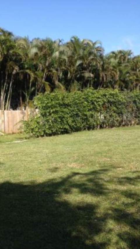 1975 Palm Acres Drive, Palm Springs FL - photo 9 of 27