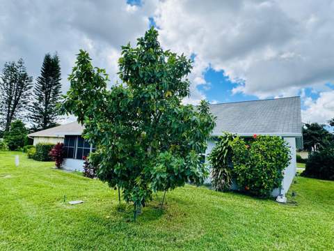 3830 Rowena Circle, West Palm Beach FL - photo 10 of 57