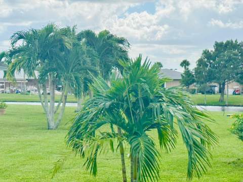 3830 Rowena Circle, West Palm Beach FL - photo 14 of 57