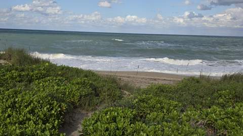 5811 NE Gulfstream Way #4006, Hutchinson Island FL - photo 21 of 21