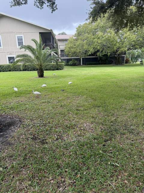 18400 SE Wood Haven Lane #M, Jupiter FL - photo 11 of 14