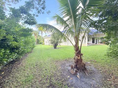 11779 Osprey Point Circle, Wellington FL - photo 6 of 33
