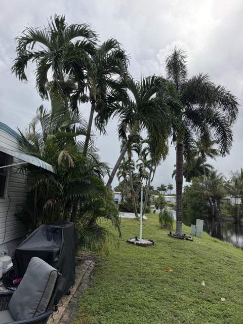 1961 SW 84th Avenue, Davie FL - photo 7 of 18