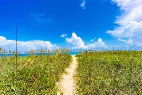 3100 N Highway A1A #1101, Hutchinson Island FL - photo 13 of 31