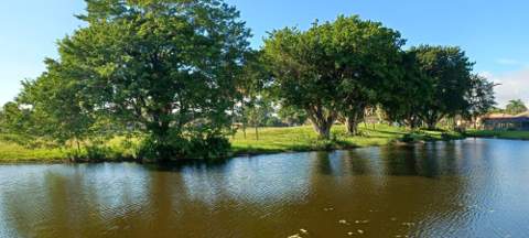 10544 Fenway Place, Boca Raton FL - photo 7 of 33