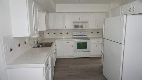 3815 Arthur Street, Hollywood FL - photo 9 of 11