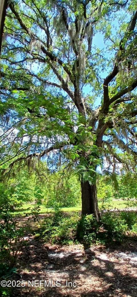 2995 Thunder Road, Middleburg FL - photo 24 of 34
