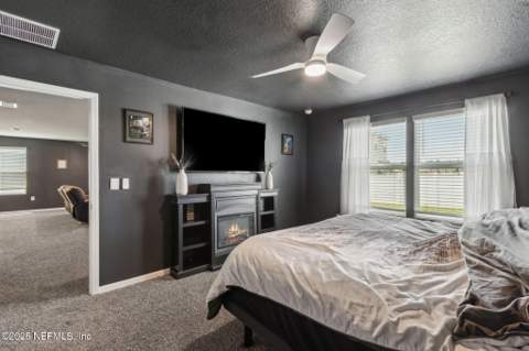2409 Falling Star Lane, Green Cove Springs FL - photo 24 of 47