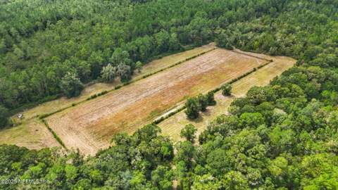 2064 Louie Carter Road, Maxville FL - photo 13 of 46
