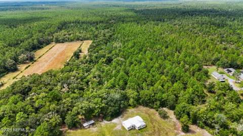 2064 Louie Carter Road, Maxville FL - photo 14 of 46