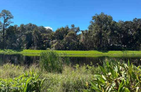 1006 Pantano Drive, St. Augustine FL - photo 13 of 14