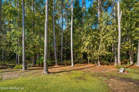 14532 Amelia Cove Drive, Jacksonville FL - photo 8 of 71