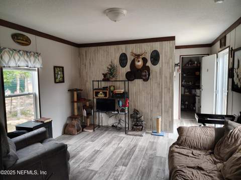 191 Kay Street, Interlachen FL - photo 9 of 27