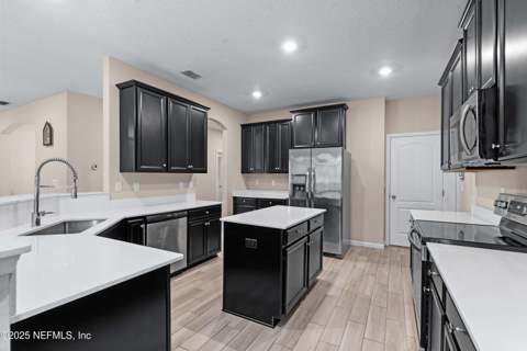 15815 Douglas Lake Drive, Jacksonville FL - photo 11 of 41