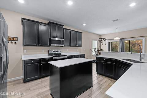 15815 Douglas Lake Drive, Jacksonville FL - photo 13 of 41