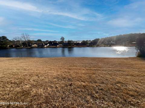 978 Tammy Cove Lane, Jacksonville FL - photo 21 of 22