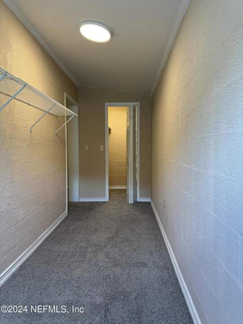 3842 Ruby Drive, Jacksonville FL - photo 14 of 38