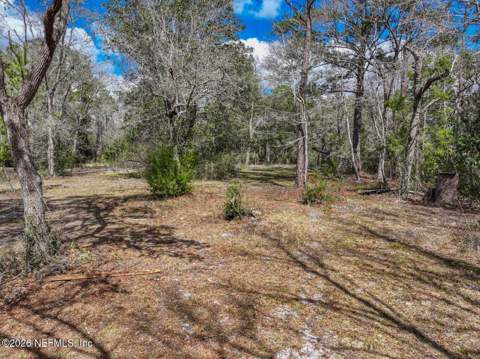 3125 Black Creek Drive, Middleburg FL - photo 12 of 21