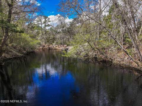 3125 Black Creek Drive, Middleburg FL - photo 19 of 21