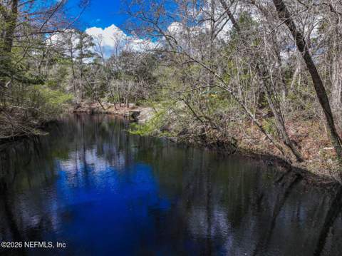 3125 Black Creek Drive, Middleburg FL - photo 20 of 21