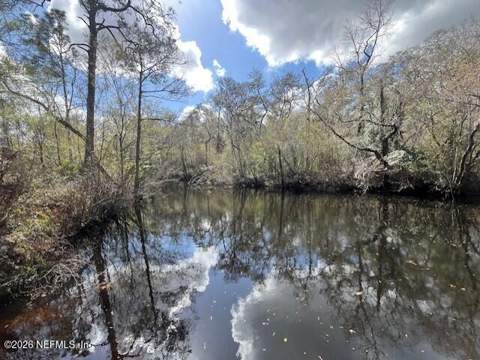 4333 Hawk Haven Road, Middleburg FL - photo 9 of 51