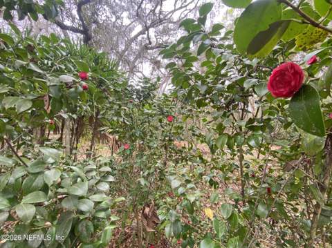119 Twin Lakes Road, Hawthorne FL - photo 11 of 66
