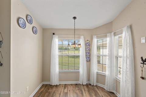 675 SW Orchid Avenue, Keystone Heights FL - photo 7 of 19