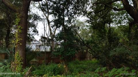 322 E 6th Street, Jacksonville FL - photo 7 of 18