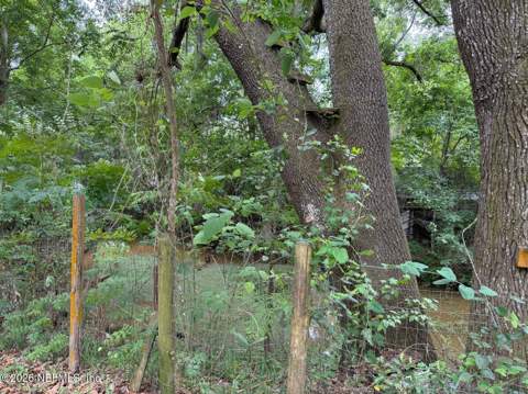 8105 Colee Cove Road, St. Augustine FL - photo 7 of 46