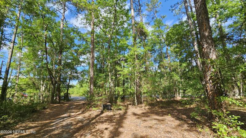 8 bedroom Single Family Residence at 6324 Lannie Road, Ogilvie Estates, Jacksonville — photo 4